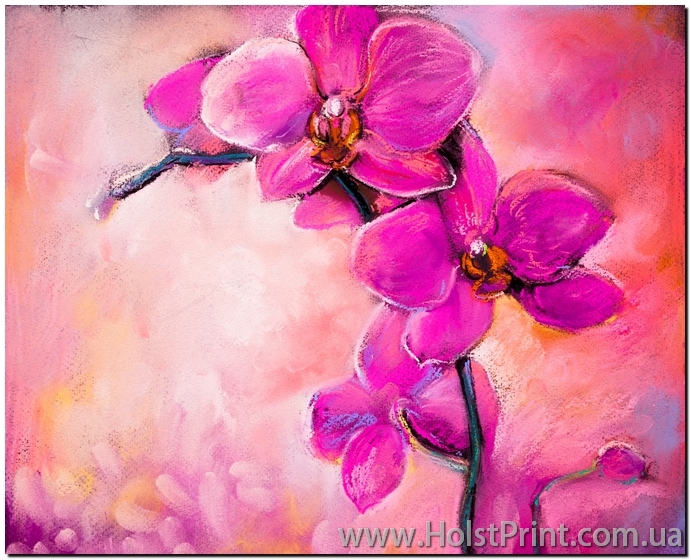 Репродукции картин Орхидея, Цветы, ART: CVET888035